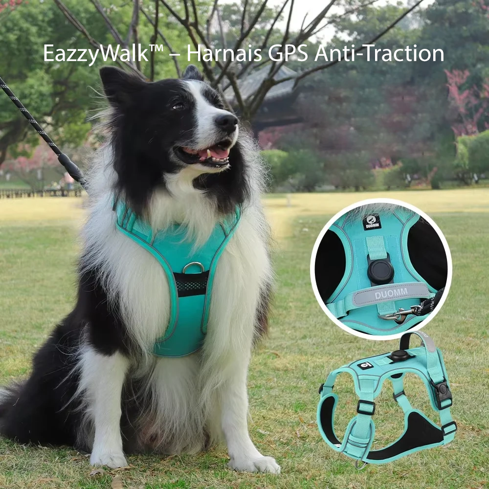 Harnais GPS Anti-Traction pour Chiens | Contrôle, Confort & Sécurité