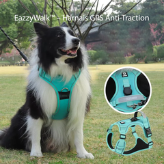 Harnais GPS Anti-Traction pour Chiens | Contrôle, Confort & Sécurité